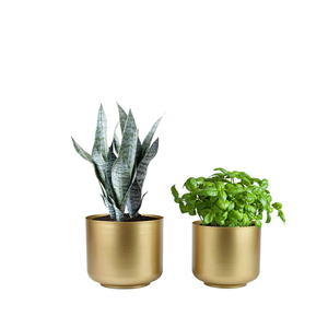 <b>Large</b> Gold <b>Planters</b> Metal Aloe Brass-Tone Plant Pots Indoor Decorative Flower Pots with Drain Holes - Product Image 1