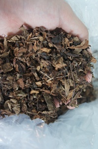 Pure Natural <b>Dried</b> <b>grass</b> jelly Leaves <b>Dried</b> <b>grass</b> jelly for Jelly Dessert and Beverage Use - Product Image 4