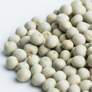 Pois blancs séchés de qualité supérieure, emballage en vrac avec livraison rapide pour les distributeurs et les détaillants - Product Image 2