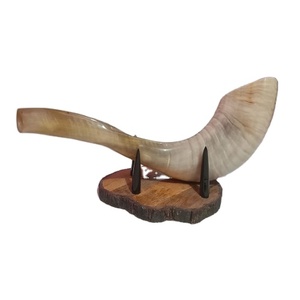 Cuerno de carnero pulido Shofar Tamaño mixto Estilo animal Artesanías naturales hechas a mano - Product Image 2