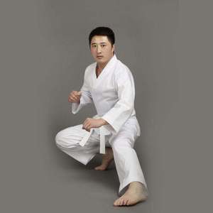 Kimono de karaté 2026, tenue de karaté, uniforme d'arts martiaux, uniforme de karaté approuvé par la WKF - Product Image 2