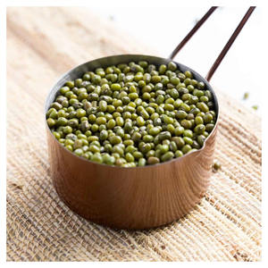 Proveedor a granel de frijoles mung verdes premium, limpios, clasificados y seleccionados, para fabricantes y distribuidores de alimentos. - Product Image 1