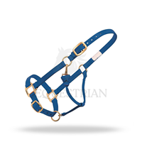Harnais de cheval en nylon réglable, collier de tête durable, harnais équestre