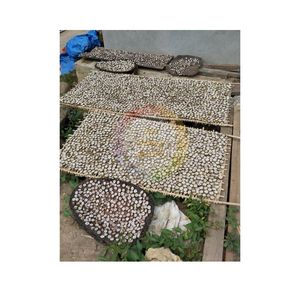 Plátano Seco al Sol, MUSA ACUMINATA Silvestre, Sin OMG / Totalmente a Base de Plantas / Alta Calidad / Dulce / Envasado al Vacío a Granel, Marca Personalizada - Product Image 4