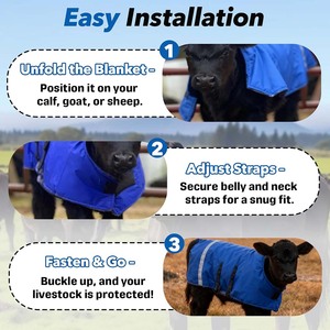 Manta de Nylon de Alta Calidad para Terneros, Aislamiento Engrosado para Vientre y Cuello, Correas Ajustables, Abrigo Cortavientos para Cabras y Ovejas en Clima Frío - Product Image 6