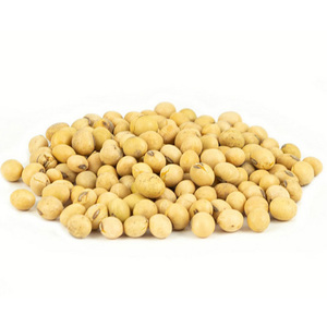 Soja non-OGM disponible à prix avantageux / Soja jaune non-OGM de qualité supérieure à haute teneur en protéines / Farine de soja 48% de protéines - Product Image 2