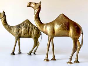 Stylish Brass Camel Sculpture For Dining Setup Decoration And Elegant <b>Table</b> Accent Collection - Product Image 4