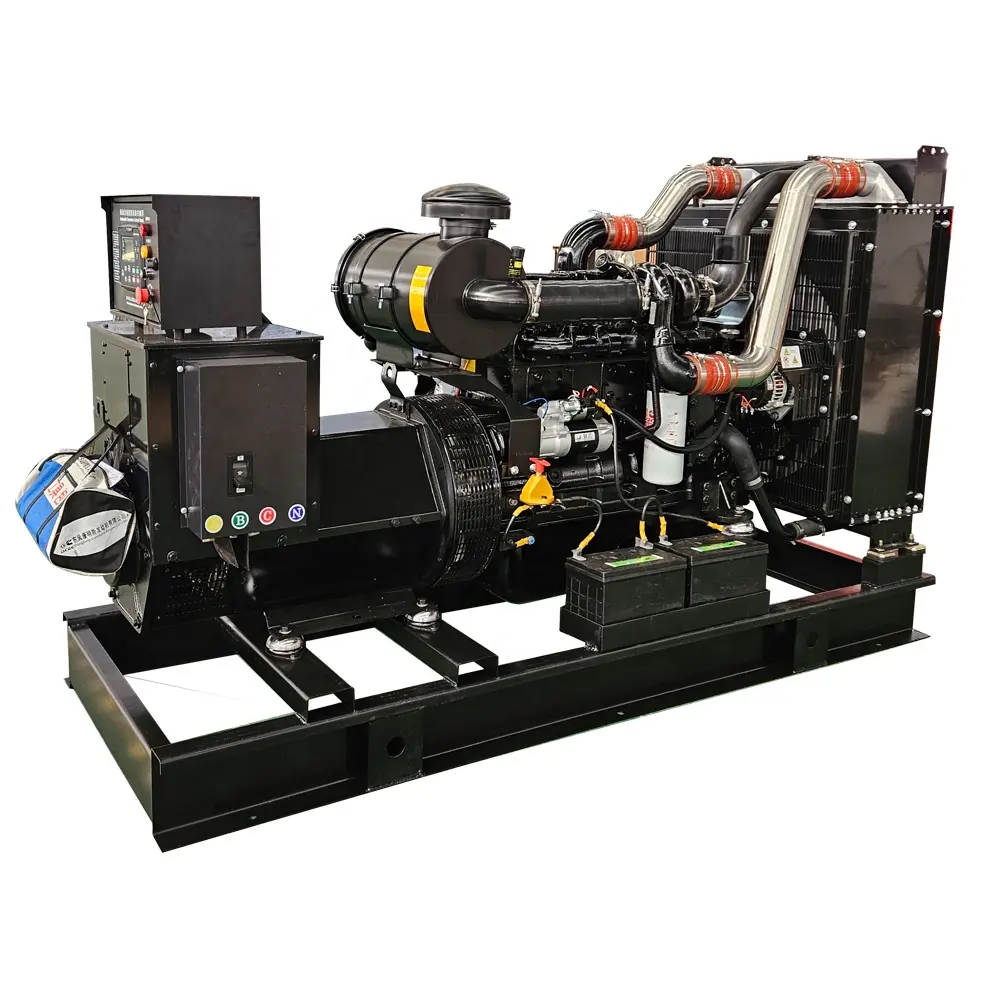 Wereldwijde Garantie Open Frame Type Diesel Generator 200kw 250kva Met Beroemde Motor
