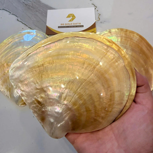 แผ่นมุกเปลือกหอยทำด้วยมือพร้อมผิวโมเสคเปลือกหอยธรรมชาติ - Product Image 1