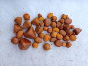 Extracto Natural de Cálculos Biliares de Vaca, Piedra de la Vesícula Biliar de Ganado, Extracto Animal para Procesamiento Tradicional - Product Image 2