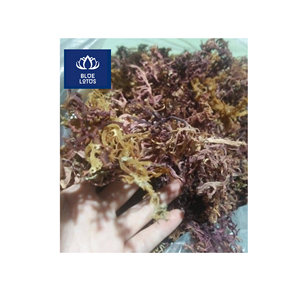 Algas Marinas Puras Secas Ecológicas, Aprobadas por Clientes, Seguras y Limpias, Ideales para Espesar Alimentos y Hacer Gel, Precio Directo - Product Image 1