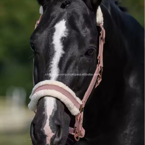 Wholesale High Quality Customized Color Horse Endurance Full Set PP Western Saddle Rope <b>Halter</b> Bridle Tack Eco-friendly - Product Image 6