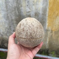 Vietnam Origine Semi-Gepelde Kokosnoot Boerderijvers Nieuwe Betrouwbare Exporteur Premium Kwaliteit Rijpe Tropische Vrucht Groothandelslevering
