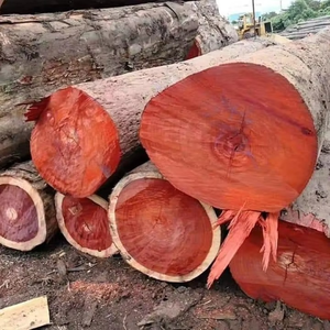 Troncos de Madera Cruda de Primera Calidad para Exportación, para Aplicaciones de Calefacción con Biomasa y Servicios de Empaquetado a Granel Confiables - Product Image 5