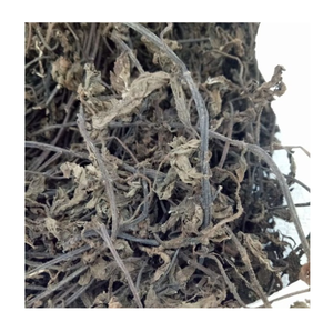 Hojas de hierba negra deshidratadas para hacer postres de gelatina de hierba y bebidas herbales refrescantes, materia prima de alta pureza - Product Image 1