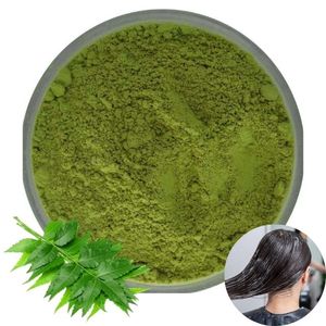 Polvo de Hoja de Neem 100% Natural al por Mayor, Extracto Herbal de Grado Alimenticio, Polvo de Neem Ideal para la Salud Inmunológica e Intestinal - Product Image 1