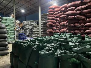 เมล็ดกาแฟสีเขียวจากเวียดนาม, เมล็ดกาแฟน้ำผึ้งโรบัสต้า S13น้ำผึ้ง S16 S18 - DHP One - Product Image 6