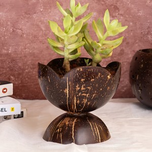 Maceta ecológica de cáscara de coco para plantas de interior, venta al por mayor de macetas decorativas. - Product Image 1