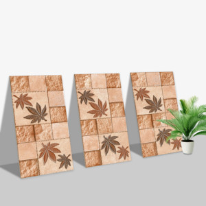 Carreaux muraux Premium Choice de qualité supérieure, carreaux d'élévation Asia Tiles 300x600mm pour articles de santé. - Product Image 1