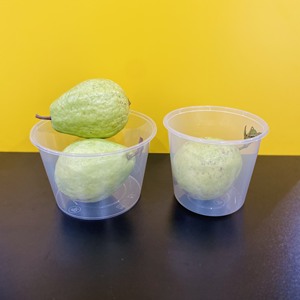 Tamper-Proof Airtight Disposable Plastic Food Container with Customizable PP Lid for <b>Kitchen</b> Food Preservation & <b>Storage</b> - Product Image 5