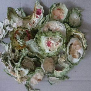 Melon Amer Séché de Qualité Supérieure du Vietnam – Tranches de Melon Amer Déshydraté en Gros – Offres de Melon Amer Séché en Vrac à Expédier - Product Image 1