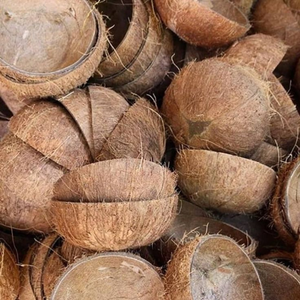 Coques de noix de coco brutes (semi-décortiquées) pour l'énergie renouvelable |   Biomasse à haute valeur calorifique pour centrales électriques, qualité A, super sèche, origine Inde - Product Image 4