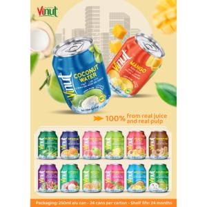 Boisson au jus de melon 250ml en canette aluminium VINUT, vente en gros pour distributeurs - Product Image 2