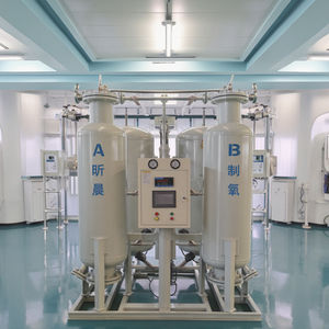 Hogedruk Garnalen Zuurstof <span class=keywords><strong>Generator</strong></span> Voor Aquacultuur Psa Zuurstof <span class=keywords><strong>Generator</strong></span> Met Plc Controle - Product Image 5