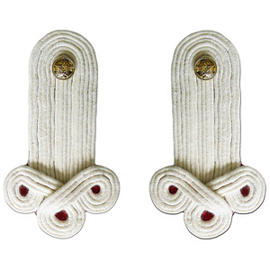 Epaulettes de Piloto Personalizadas de la Mejor Calidad a Precio de Mayoreo, Epaulettes y Distintivos de Piloto para Oficiales - Product Image 4