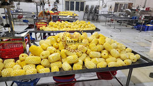 Piña congelada orgánica de la mejor calidad, IQF en rodajas/cortadas, semicongelable, formas OEM, sabor dulce, embalaje a granel de Vietnam - Product Image 4