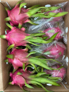 Dragon Fruit Frais à Pulpe Blanche/Rouge Entier, Durée de Conservation 30-45 Jours, Stockage Réfrigéré, Qualité Export, Prêt à la Vente en Gros - Product Image 4