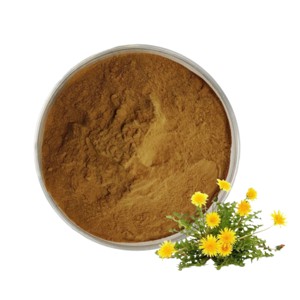 Poudre de racine de pissenlit 100% pure, poudre de racine de Taraxacum Officinale de qualité supérieure pour tisanes, alternative au café, smoothies et boissons - Product Image 3