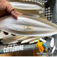 2 PIÈCES PAR BOÎTE PAR COULEUR – OS DE SEICHES BIO SÉCHÉS AU SOLEIL – SUPPLÉMENTS DE CALCIUM POUR REPTILES/ETIQUETTES – ALIMENTATION POUR ANIMAUX DOMESTIQUES FABRIQUÉ AU VIETNAM