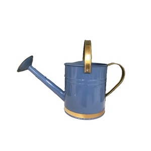 Admirable Design Metal Indoor and Outdoor Plants Watering Cane Handmade <b>Tabletop</b> Galvanized Finished Planter Holders - Product Image 1