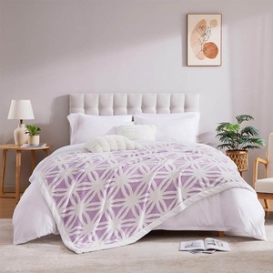 Manta Sólida 100% Poliéster Antipolvo, Invierno, Personalizable, Estilo Coreano, Raschel, Ignífuga, Ligera - Product Image 6