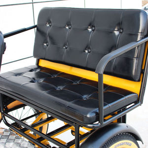 Triciclo Eléctrico Familiar para Adultos de Tres Ruedas, Bicicleta Eléctrica Vintage - Product Image 1