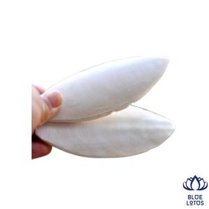 Meilleures ventes : Os de seiche naturel durable, bloc de grignotage à haute teneur en calcium pour perroquets et oiseaux - Product Image 1