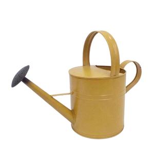 <b>Water</b> & Irrigation Handmade Iron <b>Water</b> <b>Can</b> Blue Powder Coated Finished Modern Style Metal Watering <b>Can</b> - Product Image 4