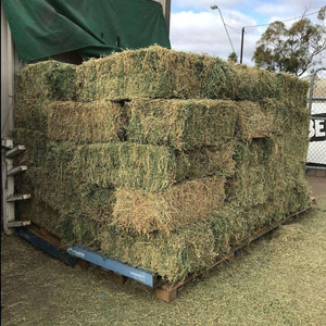 Fournisseur principal de foin d'orge pour l'alimentation animale, vente en gros, prêt à l'exportation, nourriture pour bovins, ovins, caprins, chevaux - Product Image 5