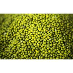 Haricots mungo riches en protéines, gramme vert nutritif pour usage domestique et industriel - Product Image 6