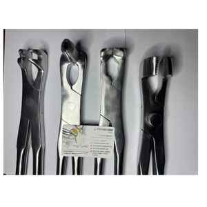 Juego de 4 Pinzas de Extracción Dental Equinas para Molares, Cirugía Oral Veterinaria, Pinzas para Molares Equinos de Alta Calidad - Product Image 5