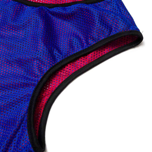 2026 Mesh <b>Training</b> <b>Bibs</b> 100% Polyester Heat-Transfer Printed Sleeveless <b>Training</b> Vest Premium - Product Image 5