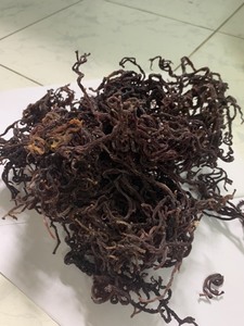 Nori naturel cru, torréfié, biologique, sauvage et frais en sachet pour smoothies et boissons - Product Image 4