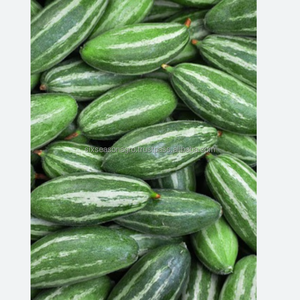 Calabaza Verde Fresca de Primera Calidad de Bangladesh, Suministro Directo de Granja, Calidad de Exportación, Seis Estaciones, Agro - Product Image 1