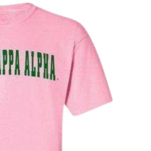   Camiseta Letterman Rosa Claro y Verde con Estampado de Letras Universitarias, Cuello Redondo, Algodón, Informal, para Hermandad, Manga Corta - Product Image 5