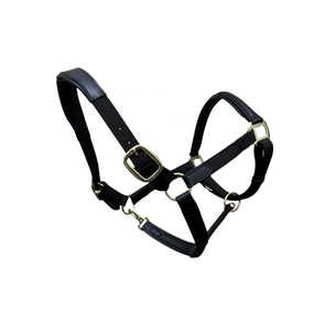Cabestro de caballo personalizable DD, cómodo cuero negro y material mixto de nailon con accesorios SS/latón, conveniente para propietarios de caballos - Product Image 2