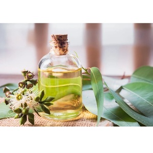 Huile essentielle d'eucalyptus pure pour la protection contre les insectes et les moustiques, huile naturelle à base de plantes au prix de gros - Product Image 3