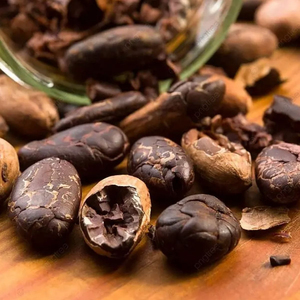 Fèves de cacao en gros, qualité supérieure, approvisionnement en vrac, stock disponible, distribution mondiale - Product Image 3