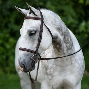 Brida de Cuero Genuino para Montar a Caballo - Product Image 1
