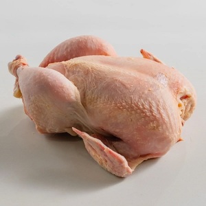 เนื้อไก่แช่แข็ง คอไก่ ขาไก่ ปีกไก่ แบบทั้งชิ้น บรรจุในขวดโหล คุณภาพพรีเมียม ขายส่ง จัดส่งรวดเร็ว ปรุงสุกแล้ว - Product Image 6